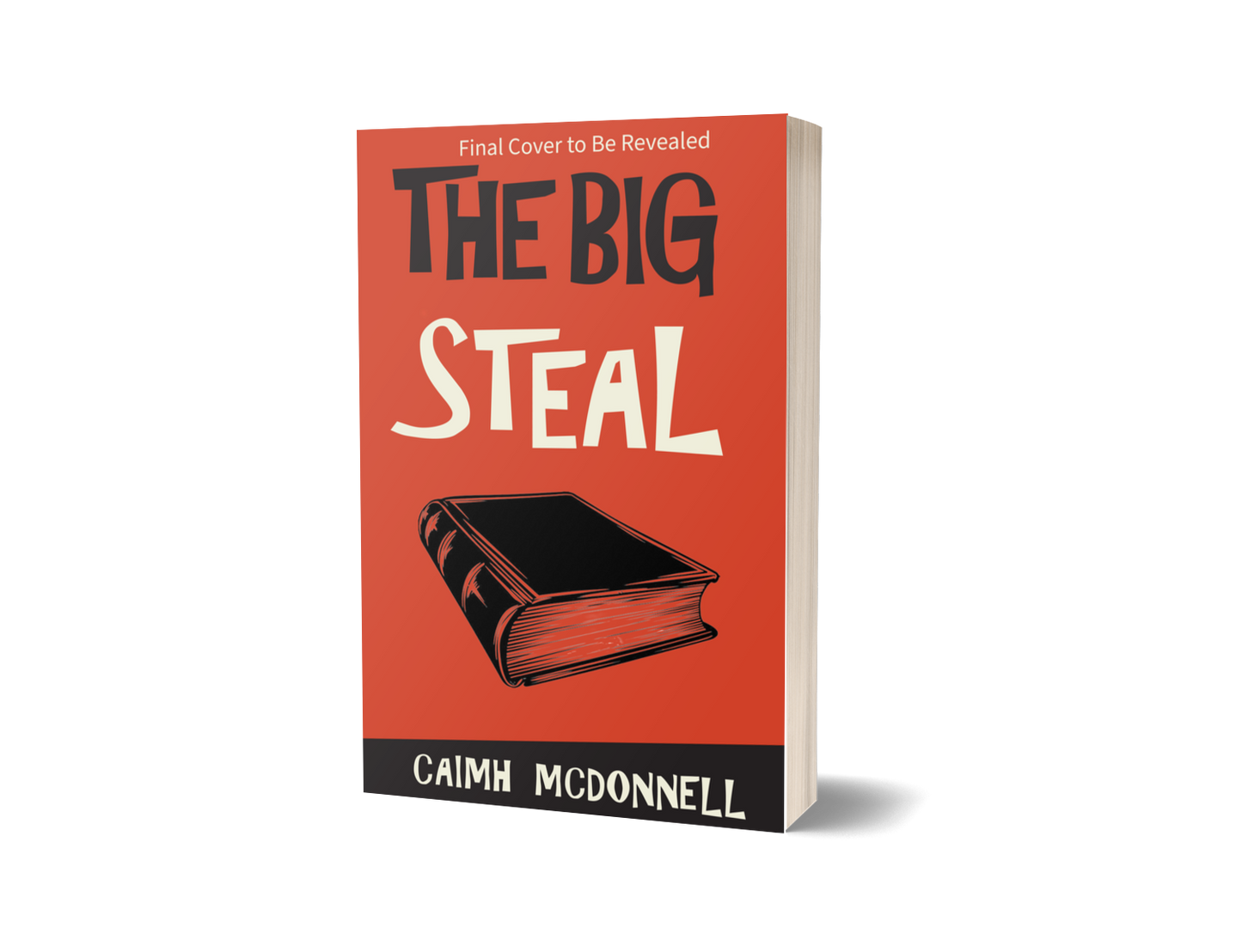 The Big Steal (MCM Investigations 3) – Signed Copy